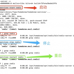 mac上安装redis的两种方法