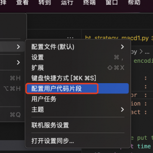 VSCode配置：为Python文件添加头部作者、日期等信息